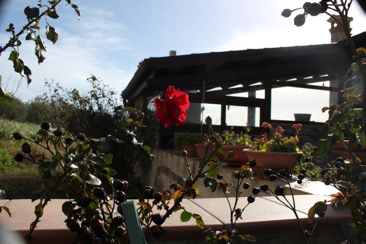 Bed and Breakfast La Casa Di Bia Corleone Zewnętrze zdjęcie