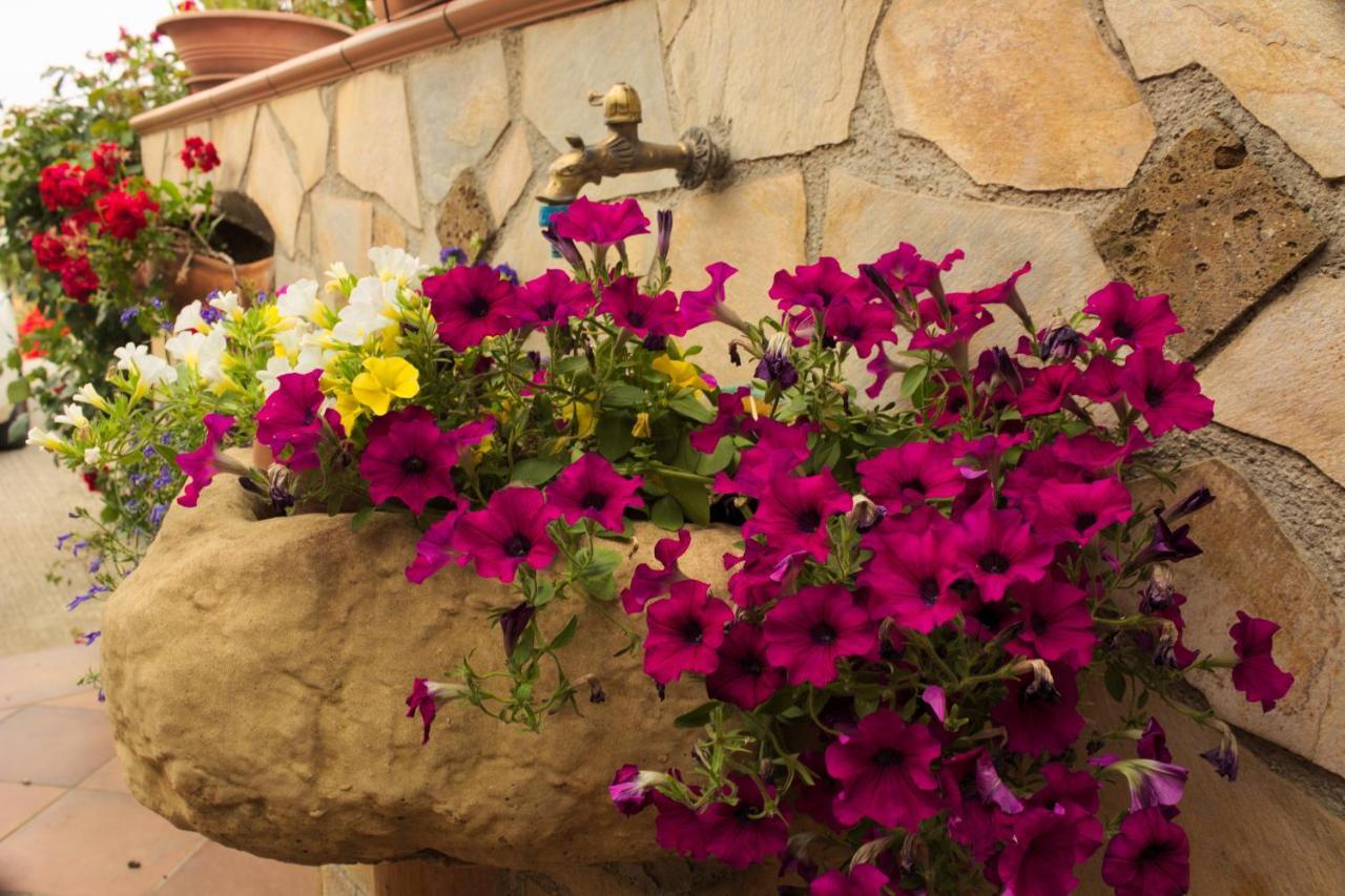 Bed and Breakfast La Casa Di Bia Corleone Zewnętrze zdjęcie
